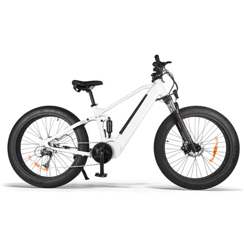 Electric Mountain bike Supplier Sea Lion Series丨Akkubici