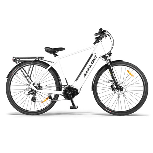 Electric bike Supplier Jumping antelope Series丨Akkubici