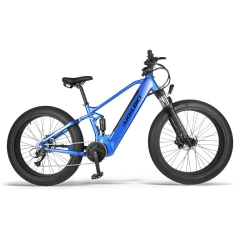 Electric Mountain bike Supplier Seals Series丨Akkubici